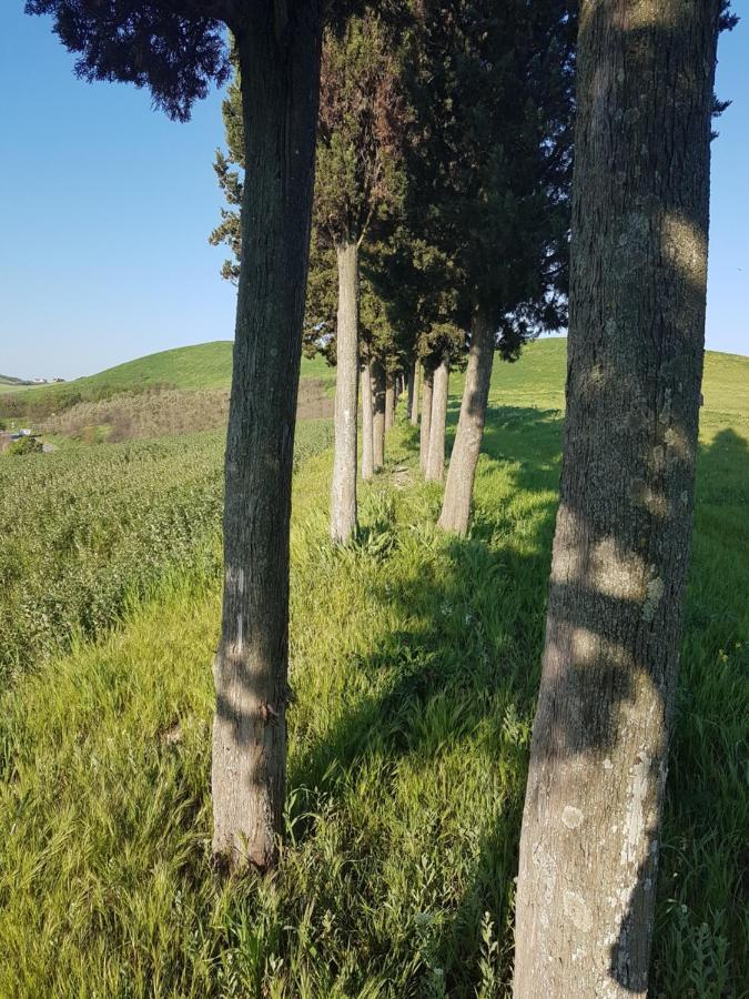 Villa Niccoli Castelfiorentino Kültér fotó