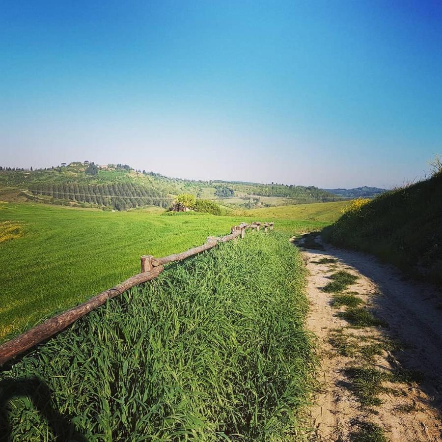 Villa Niccoli Castelfiorentino Kültér fotó