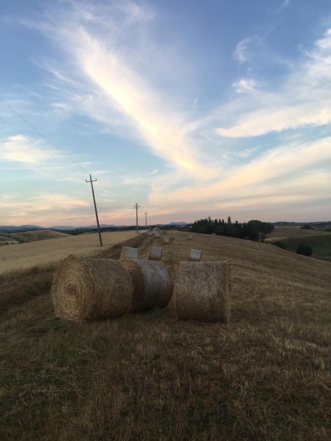 Villa Niccoli Castelfiorentino Kültér fotó