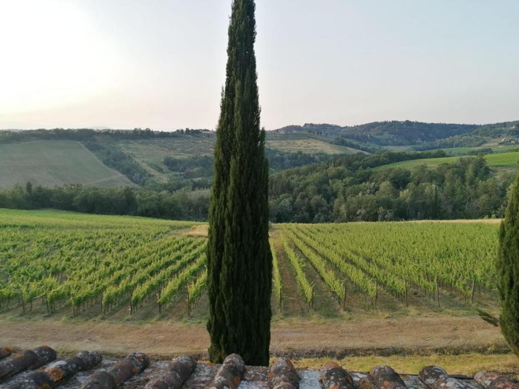 Villa Niccoli Castelfiorentino Kültér fotó